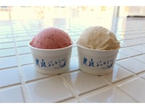 【山梨県笛吹市】ホエイを活用した山梨県産フルーツのジェラートが新発売