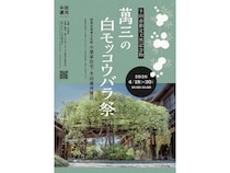 【愛知県半田市】国指定重要文化財・小栗家住宅と半田運河周辺で、「萬三の白モッコウバラ祭」開催！