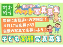 【奈良県】奈良新聞に写真が掲載されるチャンス。「子ども笑顔写真」と「我が家のペット写真」を募集