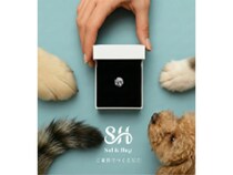 ペットの遺骨や毛から宝石をつくる「Sol＆Hug」本格始動、「Pet博2026幕張」にも出展
