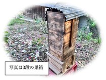 【岡山県倉敷市】里山の生物多様性についても学べる、ニホンミツバチの巣箱づくりワークショップ開催！