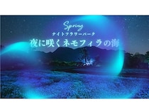 【大分県竹田市】くじゅう花公園が春の夜間特別営業として、ネモフィラが主役のイベントを開催！