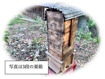 【岡山県倉敷市】里山の生物多様性についても学べる、ニホンミツバチの巣箱づくりワークショップ開催！
