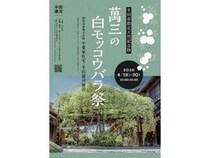 【愛知県半田市】国指定重要文化財・小栗家住宅と半田運河周辺で、「萬三の白モッコウバラ祭」開催！