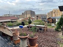 【神奈川県鎌倉市】鎌倉の古民家ベーグル店「ホクカマベーグル」、薪と鉄板による新たなBBQ体験を提供