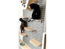 「ゴロゴロの日」に三重県四日市の猫専門不動産が猫用壁面家具などを販売開始