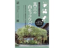 【愛知県半田市】国指定重要文化財・小栗家住宅と半田運河周辺で、「萬三の白モッコウバラ祭」開催！