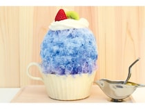 【奈良県奈良市】奈良ホテル、かき氷の名店「ほうせき箱」席確約プランを発売！宿泊＆かき氷体験を堪能