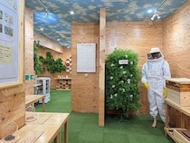 【埼玉県志木市】日本初・プロポリスミュージアムが誕生！富士見養蜂園が伝えるプロポリスの魅力と価値