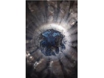 【長野県軽井沢町】森山雅智氏の作品を展示！軽井沢を愛する人々の写真展「KARUIZAWA FOTO FEST」が開催