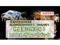 【群馬県富岡市】「とことんサファリパック」が期間限定で発売！最大2,800 円割引に