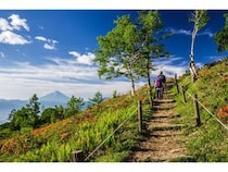 【山梨県韮崎市】レンゲツツジの大群落と富士山を望む「甘利山グリーンロッジ」新シーズンオープン