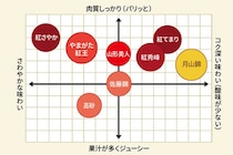 清川屋のさくらんぼ図鑑！8品種それぞれの魅力とは？