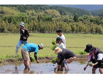 【熊本県南阿蘇村】プレミアムウォーターが、田植え体験イベントを開催！工場見学や BBQなども実施