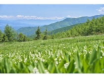 【長野県富士見町】富士見パノラマリゾートで、春の高原を五感で楽しむ「120万本のすずらん祭り」開催！