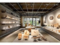【東京都新宿区】博物館級の実物化石をアートとして提案・販売する「買える化石博物館 TOKYO」オープン