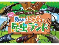 【愛知県名古屋市】個性豊かな昆虫に会えるチャンス「第2回 夏休み！ふれあい昆虫ランド」今夏開催