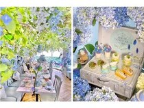 【東京都目黒区】紫陽花がテーマのアフタヌーンティー！初夏の爽やかなティータイムを堪能しよう