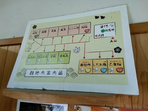 栗山温泉 紅さんざし