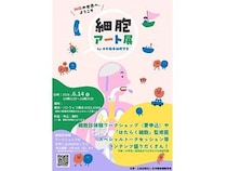 【神奈川県横浜市】「細胞アートクルーズ in YOKOHAMA」で細胞診を楽しく学ぶ！『はたらく細胞』の展示も