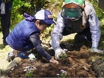 【宮城県利府町】SBI損害保険が東日本放送と協力し、ぐりりの森あそびを開催！森林整備活動などを実施