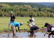 【熊本県南阿蘇村】プレミアムウォーターが、田植え体験イベントを開催！工場見学や BBQなども実施