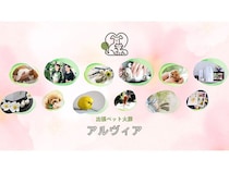 【東京都・千葉県・埼玉県・神奈川県】家族全員で見送れる！出張ペット火葬サービス「Alvia」関東エリアにて本格始動