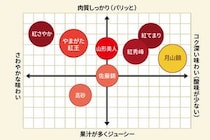 清川屋のさくらんぼ図鑑！8品種それぞれの魅力とは？