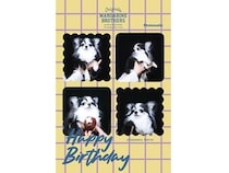 【東京都世田谷区】「MANDARINE BROTHERS」直営店に「Photomatic」のフォトブース登場！ペットと撮影可能