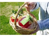 【長野県飯綱町・長野市】長野県産いちご「紅ほっぺ」のジャムがサンクゼール本店・門前店で数量限定発売！