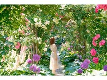 【静岡県熱海市】リゾートパーク「ACAO FOREST」でローズフェスタ開催中！約600種4,000株のバラが見頃