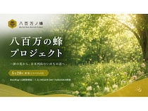 福岡発「八百万の蜂プロジェクト」始動！初期構想ブック共有開始＆福岡で関連イベント
