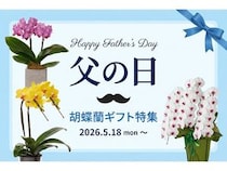 胡蝶蘭専門サイト「フラワースミスギフト」、父の日ギフト向け胡蝶蘭の特集販売を開始