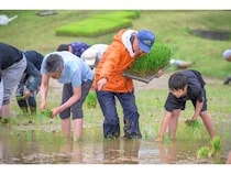 【新潟県妙⾼市・東京都墨田区】ロッテアライリゾートで「星空米」田植え体験ツアー開催！特別宿泊プランや連動企画も