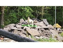 【青森県弘前市】「DOG FES IWAKI」に救助犬訓練士協会がブース初出店！国際救助犬ペアも登場予定