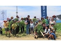 【埼玉県深谷市】パルシステム埼玉、産直提携産地・沃土会の農業体験イベントを開催