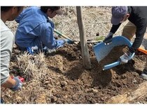 【岐阜県恵那市】「恵那 銀の森」が7月に開園15周年。記念して15個のアニバーサリー企画を実施