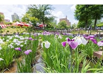 【東京都足立区】「しょうぶまつり」と「世界の食広場」が同日開催。2会場を結ぶスタンプラリーも実施