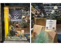 【東京都・千葉県・埼玉県・兵庫県】「KEEN」が長野県小諸市の自伐型林業の間伐材を活用した店舗ディスプレイを設置！