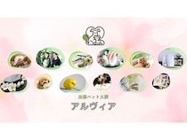 【東京都・千葉県・埼玉県・神奈川県】家族全員で見送れる！出張ペット火葬サービス「Alvia」関東エリアにて本格始動