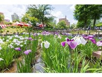 【東京都足立区】「しょうぶまつり」と「世界の食広場」が同日開催。2会場を結ぶスタンプラリーも実施