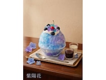 【東京都昭島市】「東京チョコレートファーム」が新作かき氷3種発売！ひと口ごとに変わる“涼”の芸術