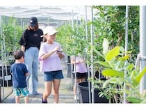 【千葉県市原市】珍しい品種の食べくらべができる「さわやかブルーベリーファーム市原」で収穫体験開催