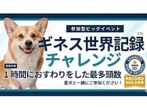 【東京都】ロンドンドッグフェスタ 2026で、1時間におすわりをした最多頭数への挑戦犬を募集