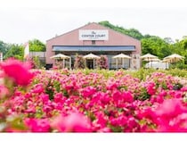 【岐阜県可児市・美濃市・関市】初夏の花が咲き誇る東美濃〜中濃を効率的に巡るルート紹介！イベントもチェック