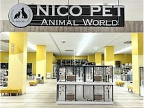 「NICO PET さいたま新都心店」にてペッツファーストグループの譲渡会を開催