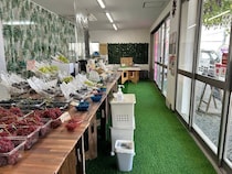 【大阪府柏原市】「試食しないと買えない」ぶどう直売所OPEN！自分の舌で味を確かめてから選ぶ