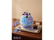 【東京都昭島市】「東京チョコレートファーム」が新作かき氷3種発売！ひと口ごとに変わる“涼”の芸術