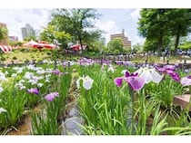 【東京都足立区】「しょうぶまつり」と「世界の食広場」が同日開催。2会場を結ぶスタンプラリーも実施