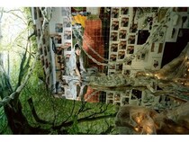 【東京都港区】「森アートアワード」の初代グランプリを受賞した片山真理氏の受賞記念展開催！